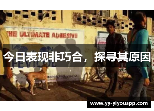 今日表现非巧合，探寻其原因